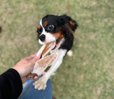 WhatsApp Image 2025-05-26 at 10.48.46