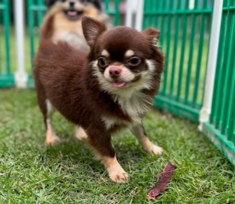 WhatsApp Image 2025-05-26 at 10.49.16 (1)