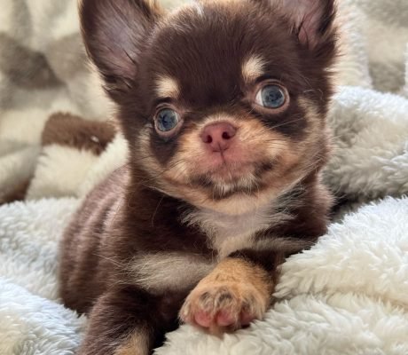 WhatsApp Image 2025-05-26 at 10.49.16